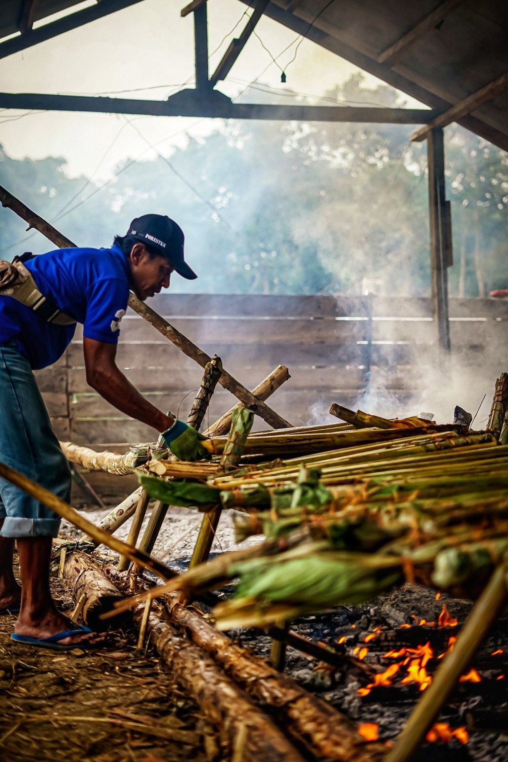 Picture of: Lemang: Most Up-to-Date Encyclopedia, News & Reviews